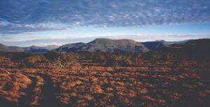 The South African Karoo